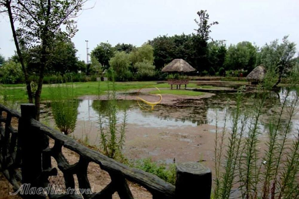 پارک ملت رشت