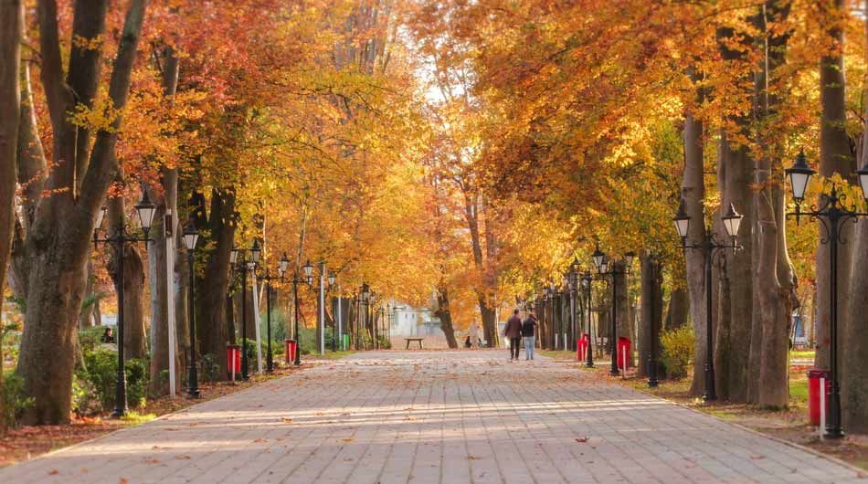 باغ محتشم رشت