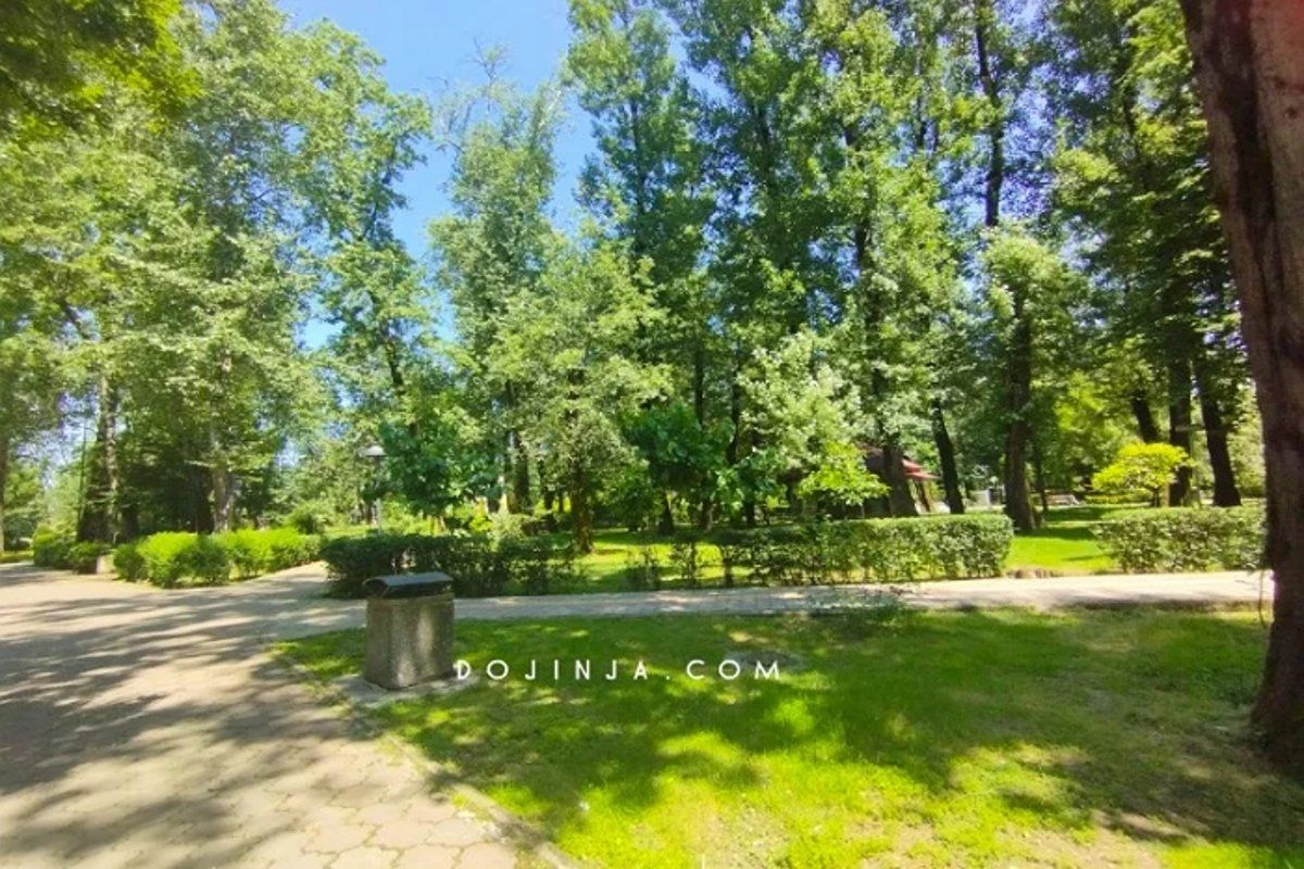 درختان چنار و افرا در مسیر سایه‌دار پارک ملت رشت