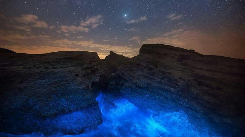 جزیره لارک قشم؛ کشف زیبایی‌های طبیعی و بکر جزیره لارک