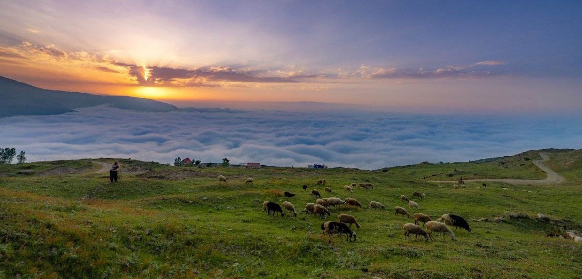مازیچال