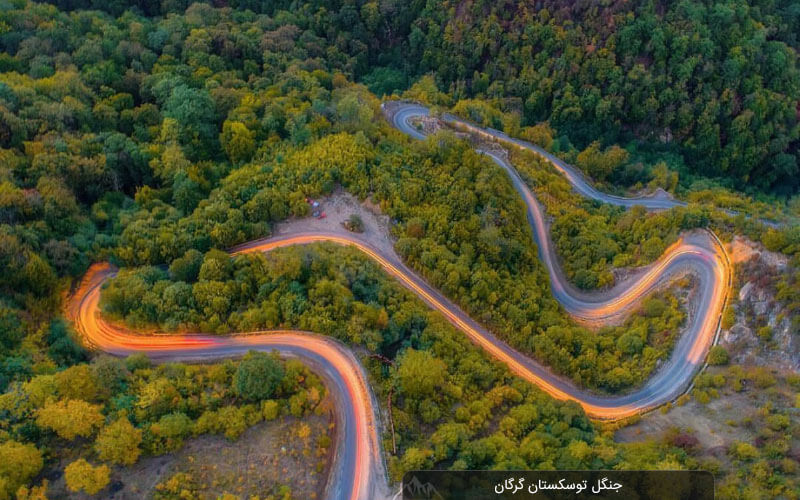 جنگل توسکستان گرگان